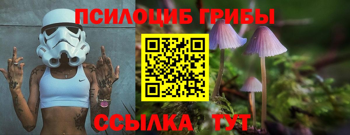 Галлюциногенные грибы Magic Shrooms  Вход с VPN  Ачхой-Мартан 