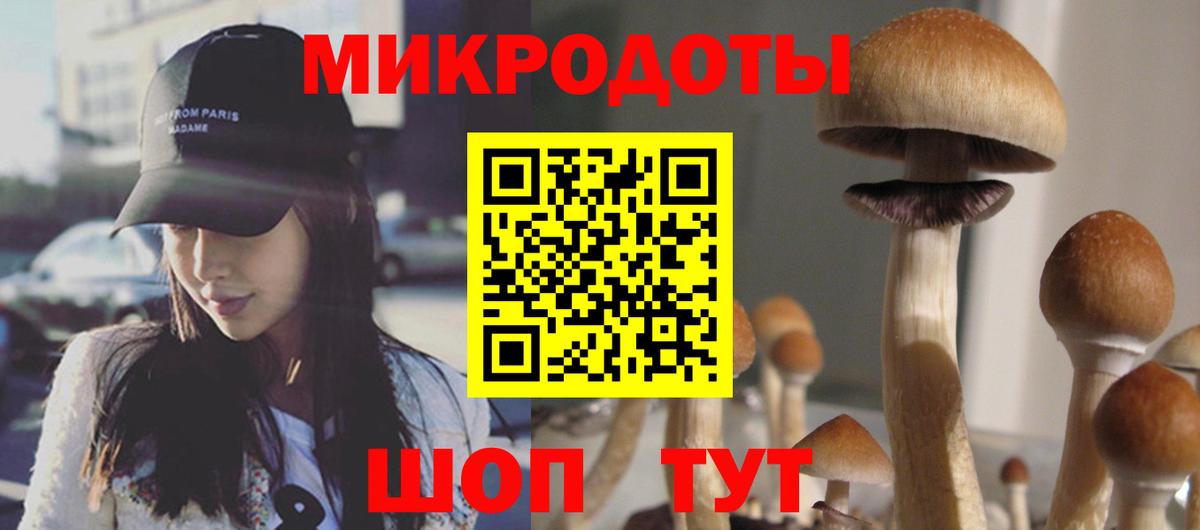 Псилоцибиновые грибы мухоморы Ачхой-Мартан